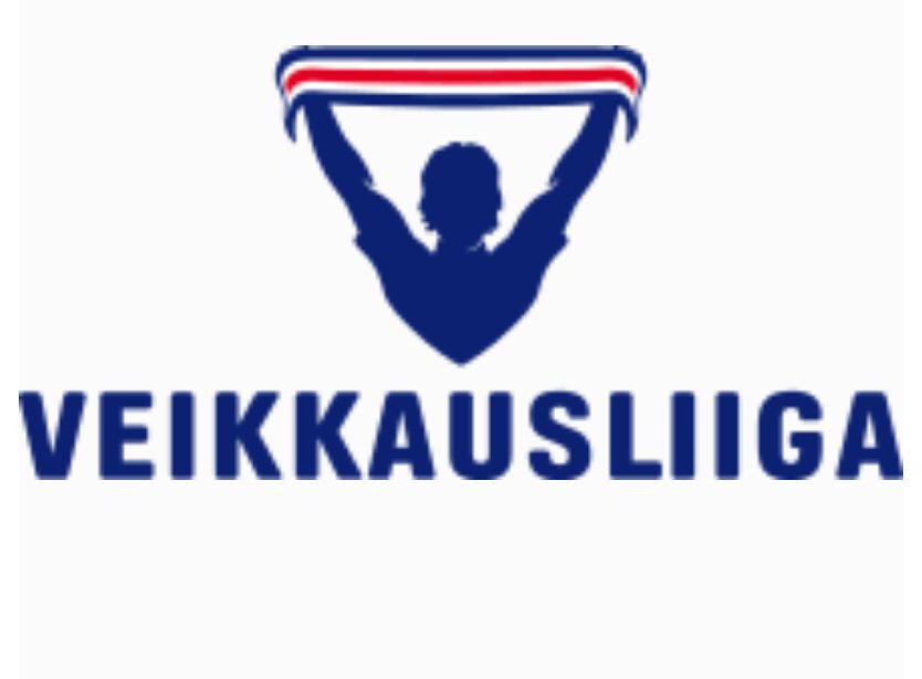 包含芬兰篮球联赛新秀崭露头角，备受瞩目的词条