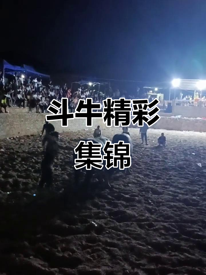 精彩瞬间不容错过,现场火爆爆棚的简单介绍 精彩瞬间不容错过,现场火爆爆棚的简单介绍