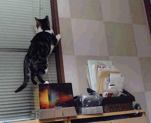 2026世界杯焦点战，亚特兰大主场奇迹，关键突围力克里昂