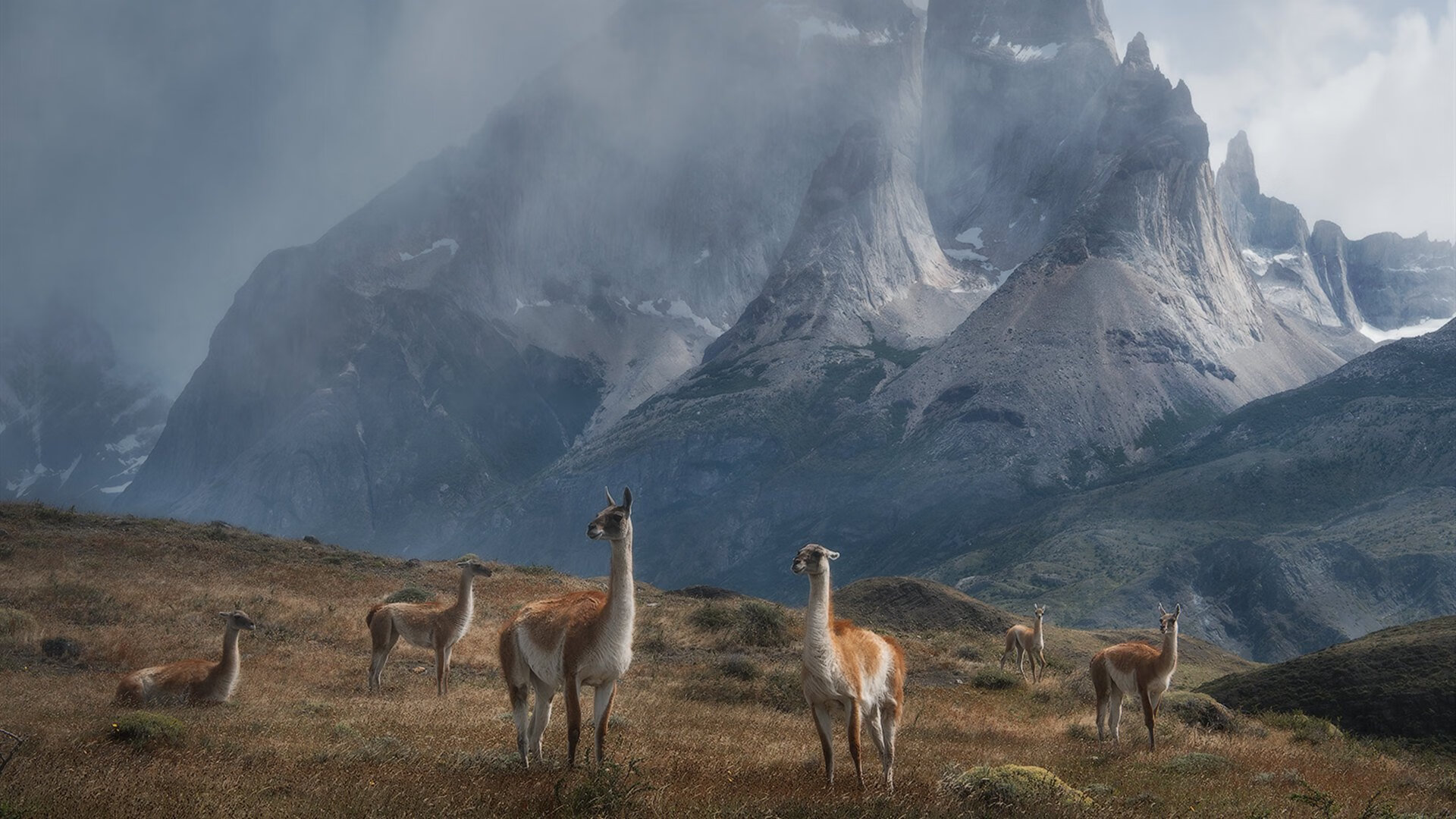 蛰刺般的胜利，黄蜂险胜开拓者，哈登关键战显锋芒