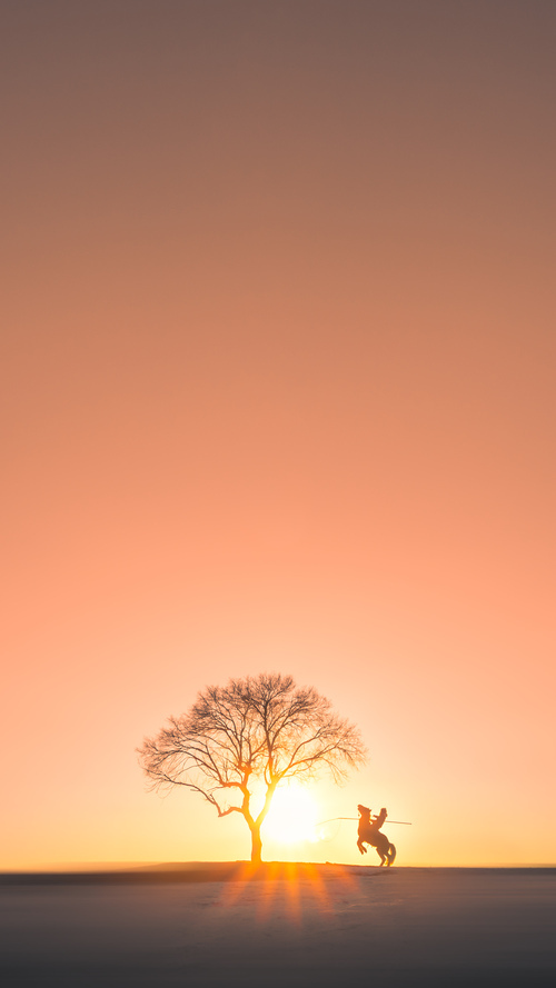 从莱茵河畔到天山脚下，德甲争冠战与新疆队的东西对话