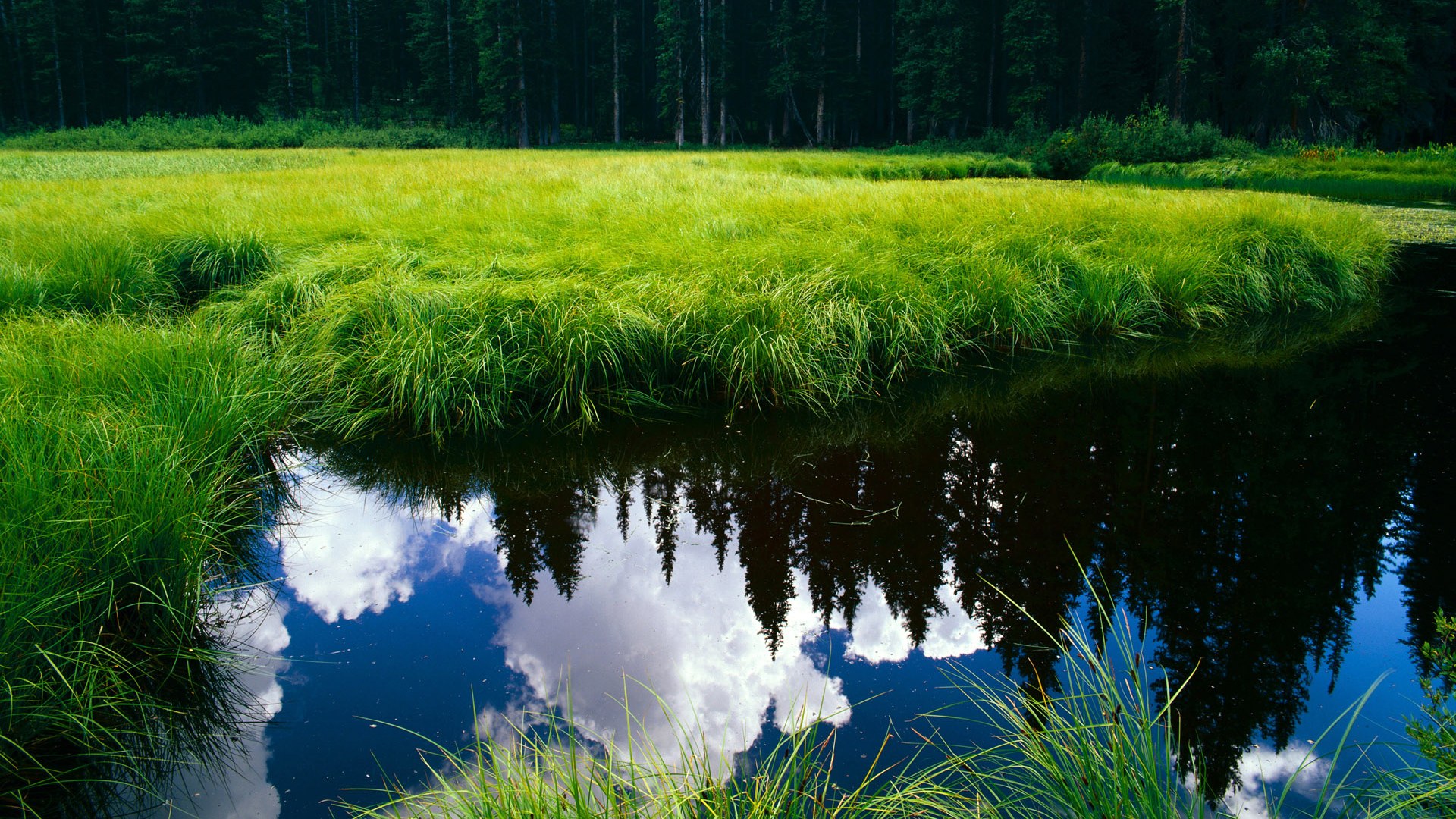 马克西末节爆发，公牛力克开拓者止连败