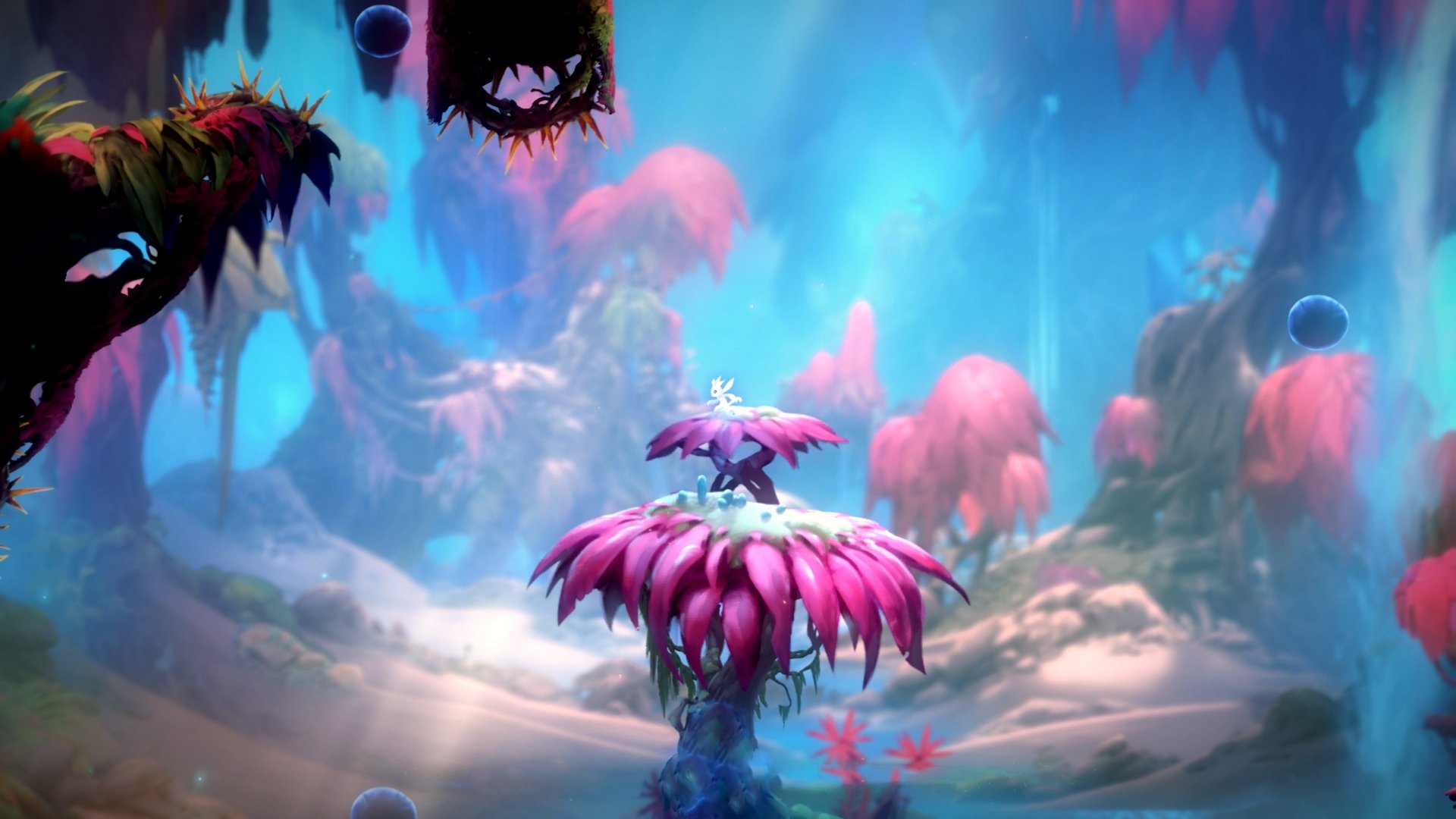 当骑士一波流席卷篮球场，美加墨世界杯的绿茵启示录