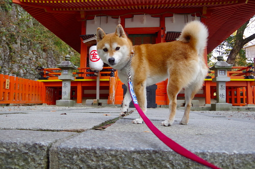 钢铁防线对红色旋风，当F1遇上亚特兰大式防守，西班牙斗牛士如何被锁死？