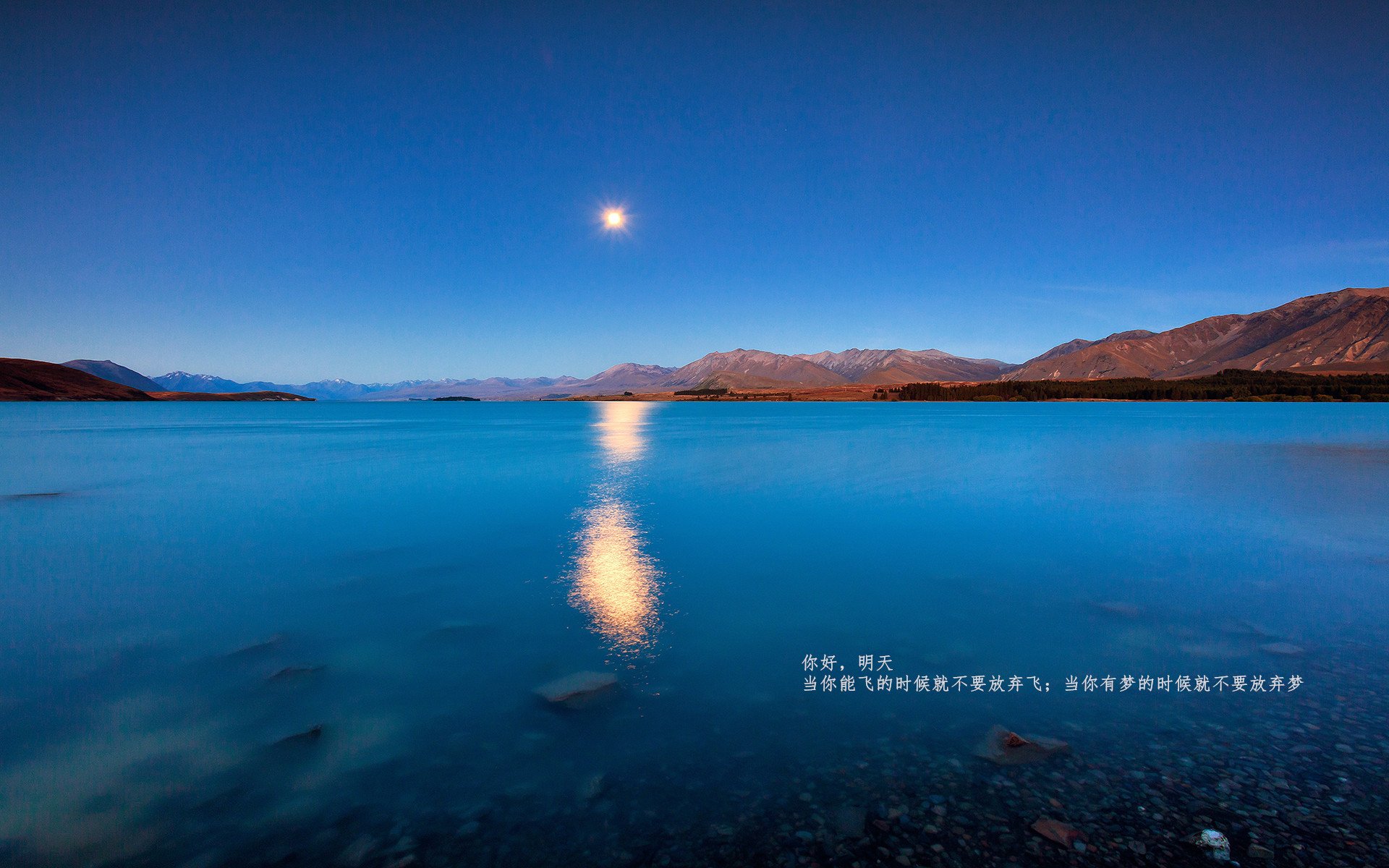 从双膝跪地到仰天长啸，坎特一肩扛起土耳其惊天翻盘