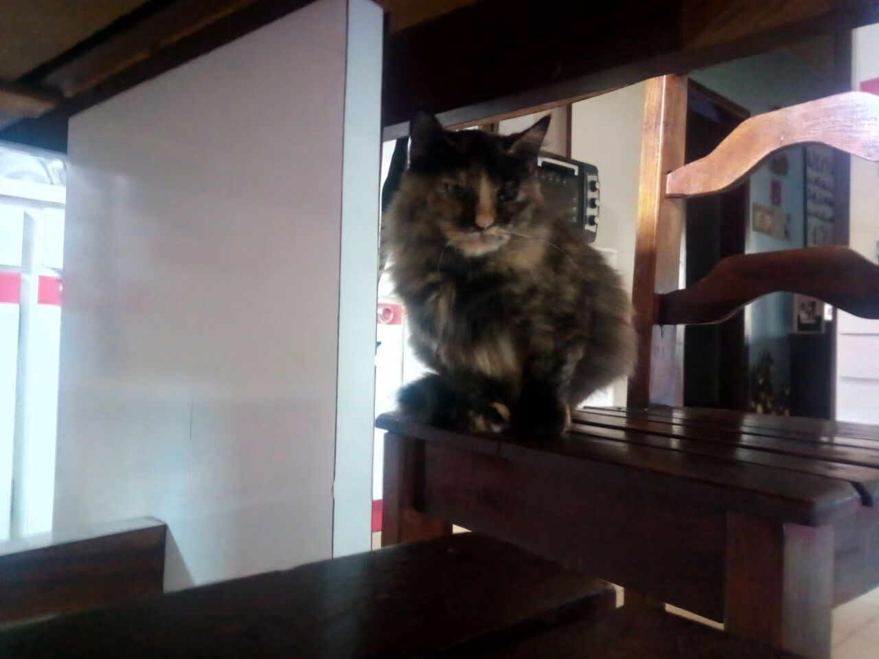 2026世界杯之夜，杜兰特带队取胜的传奇篇章