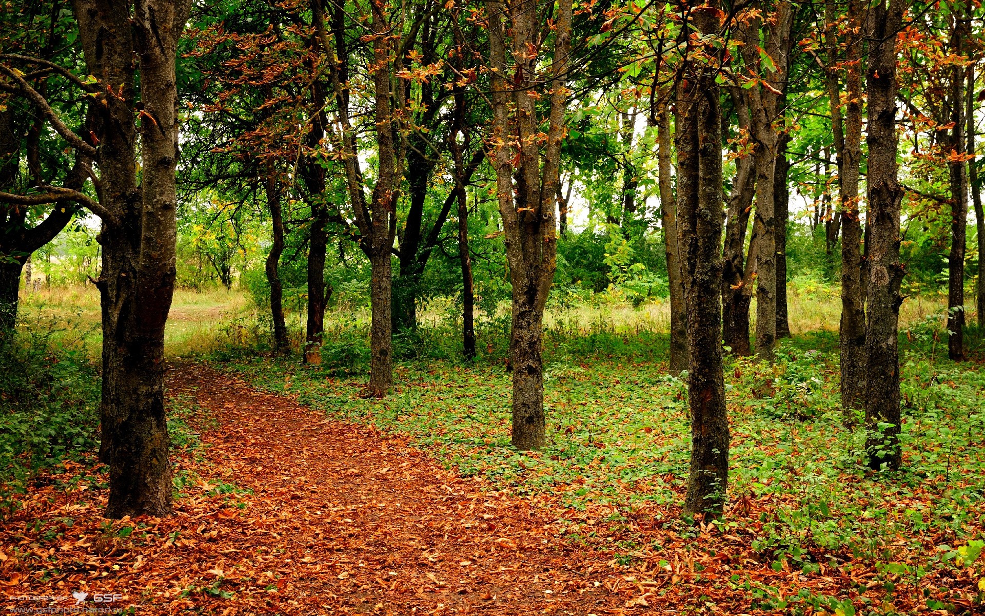 开云APP-布克，那柄插入尼克斯心脏的关键钥匙