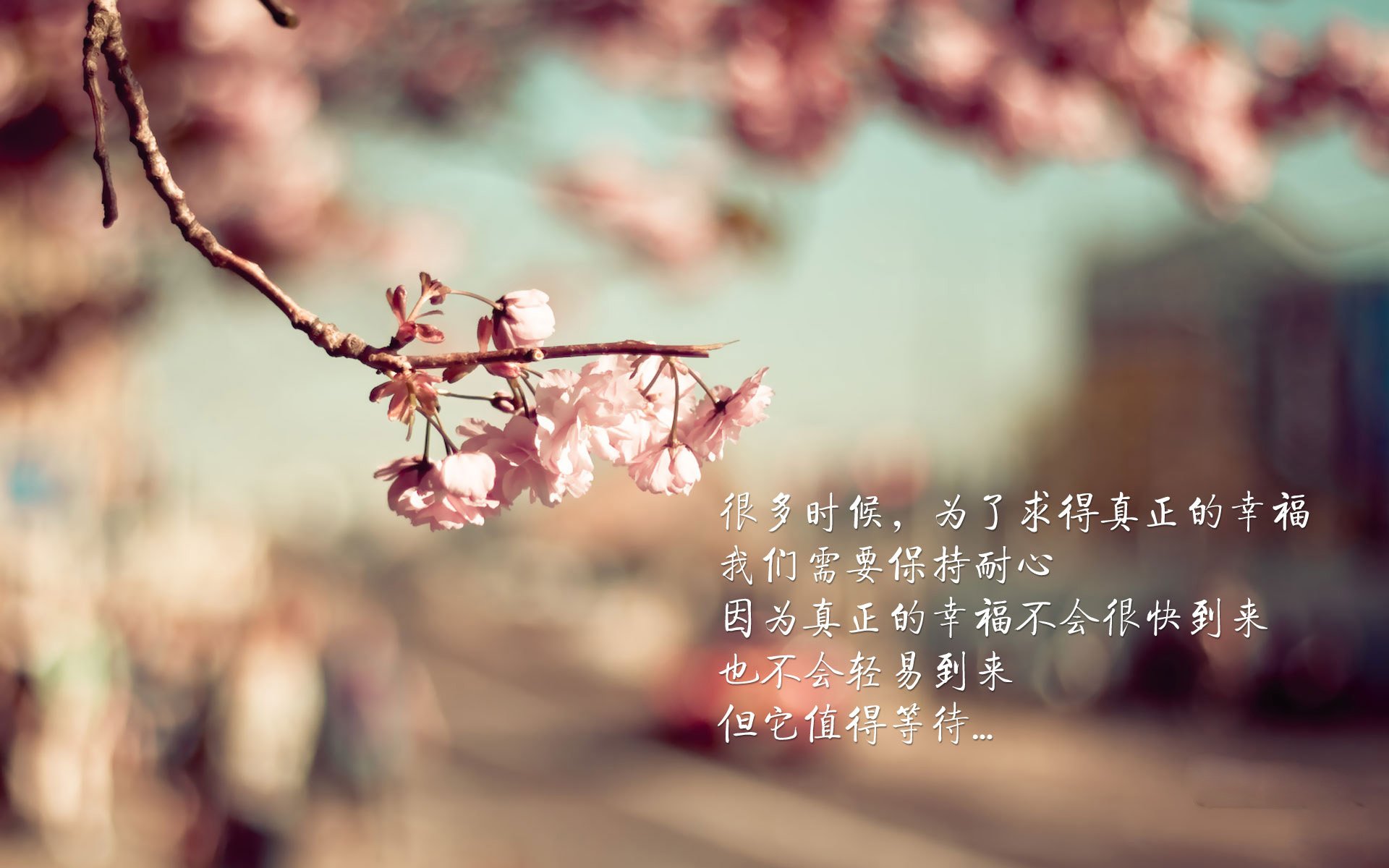 厄德高关键战不手软，亚特兰大对阵乌拉圭的激情对决