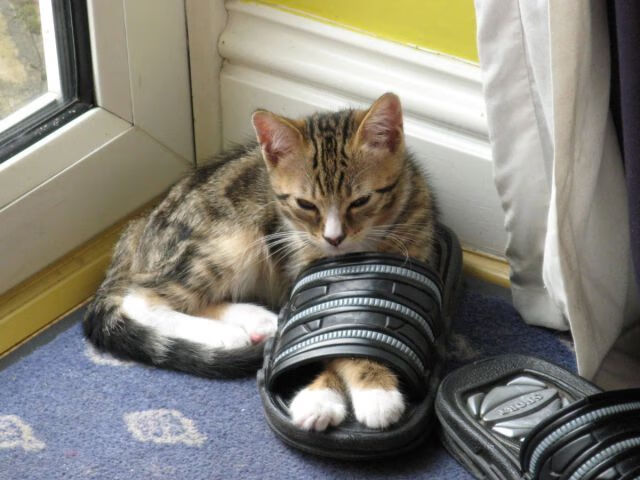 跨越地域的赛场传奇，上海队掀翻快船，拉梅洛在德甲争冠战接管比赛