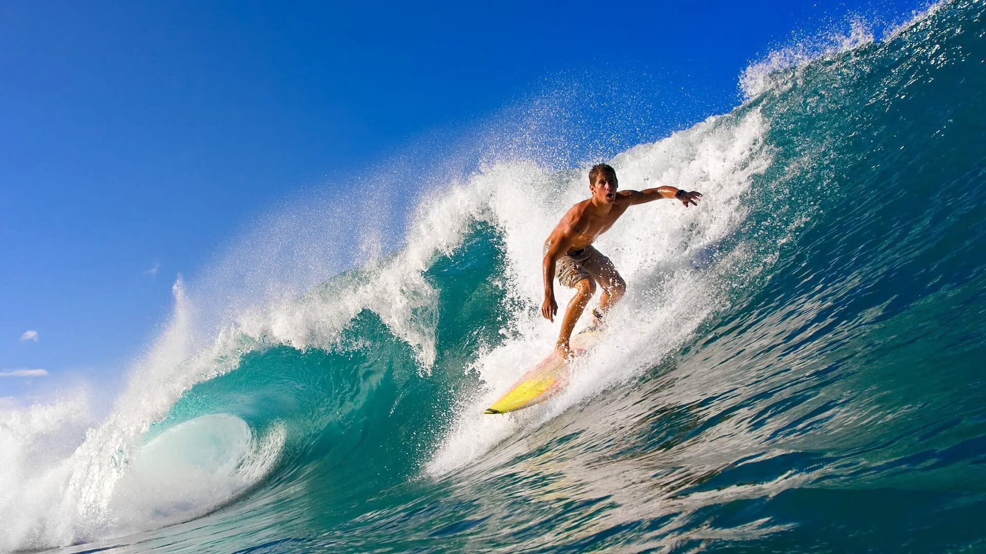 双城记与伊比利亚之光，当铁血德甲遇见艺术葡萄牙的足球启示录
